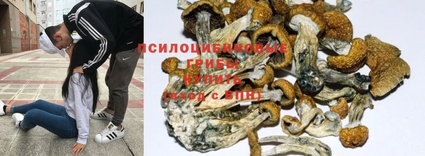 прущая мука Пролетарск