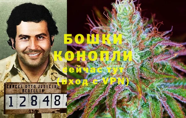 соль ск Протвино